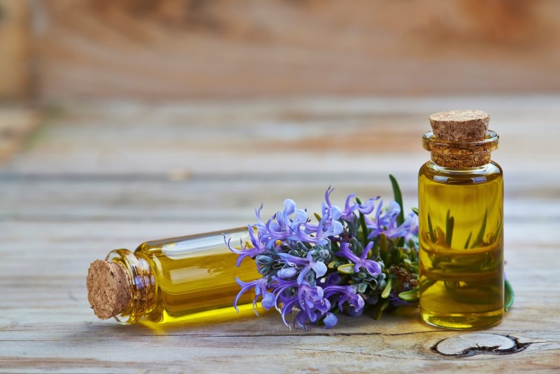 Rosemary Oil Great For Your Skin Care Routine PureOilGuide